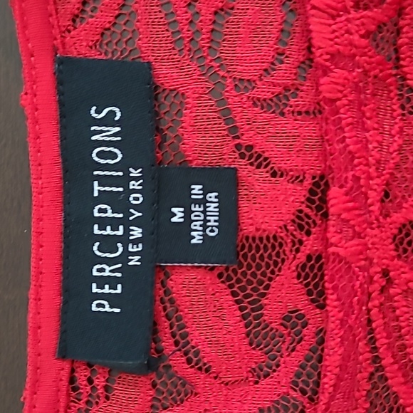Perceptions New York Red lace dress. - Picture 7 of 8